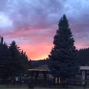 Meet your Posher, Diana